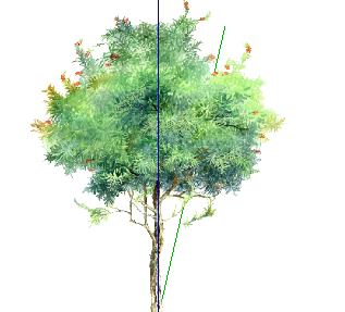 ֲֻSketchUpģ