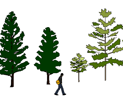 ֲֻSketchUpģ