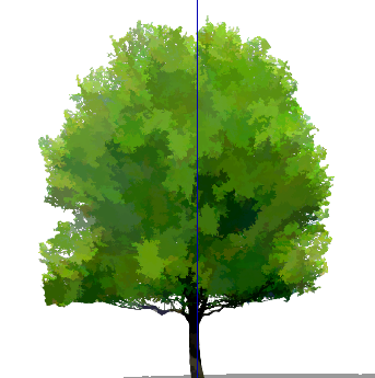 ֲֻSketchUpģ