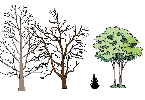 ֲֻSketchUpģ
