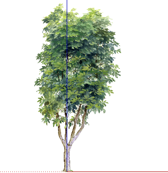 ֲֻSketchUpģ