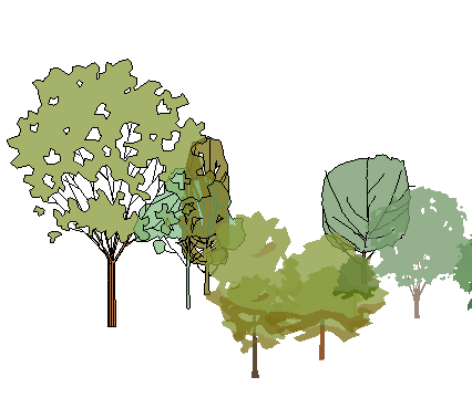ֲֻSketchUpģ