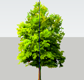 ֲֻSketchUpģ