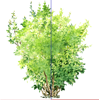 ֲֻSketchUpģ