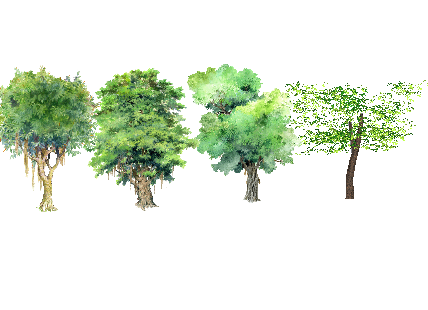 ֲֻSketchUpģ