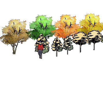 ֲֻSketchUpģ