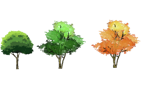 ֲֻSketchUpģ