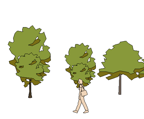 ֲֻSketchUpģ