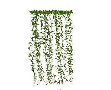 ֲSketchUpģ