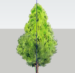 ֲֻSketchUpģ