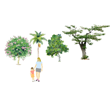 ֲֻSketchUpģ