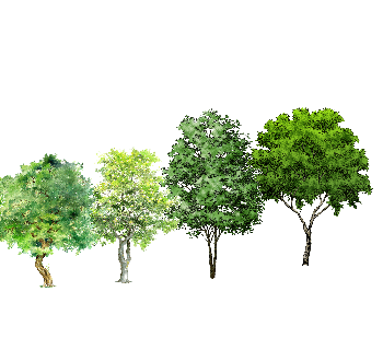 ֲֻSketchUpģ