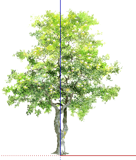 ֲֻSketchUpģ