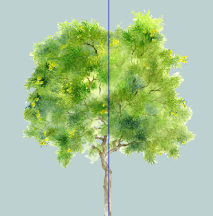 ֲֻSketchUpģ