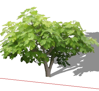 ֲֻSketchUpģ