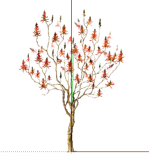 ֲֻSketchUpģ