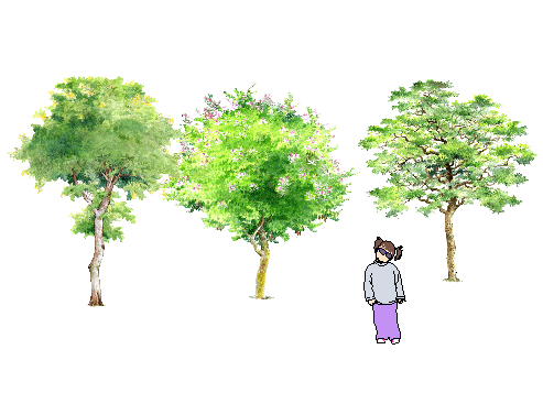ֲֻSketchUpģ