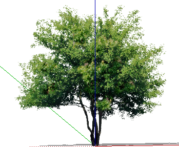 ֲֻSketchUpģ