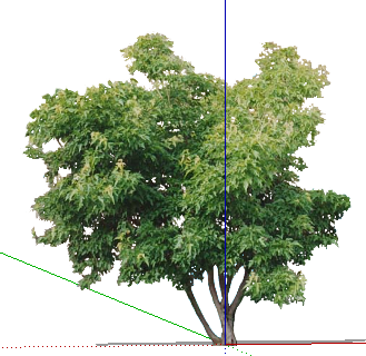 ֲֻSketchUpģ