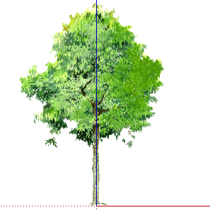 ֲֻSketchUpģ