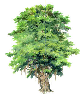 ֲֻSketchUpģ