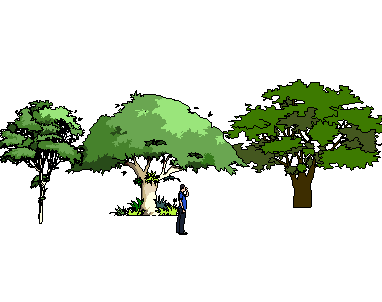 ֲֻSketchUpģ
