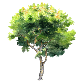 ֲֻSketchUpģ