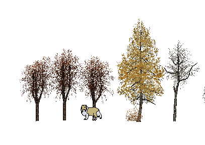 ֲֻSketchUpģ