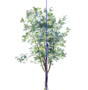 ֲֻSketchUpģ