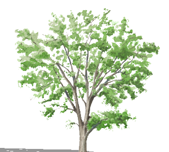 ֲֻSketchUpģ