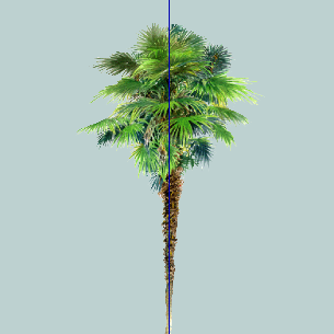 ֲֻSketchUpģ