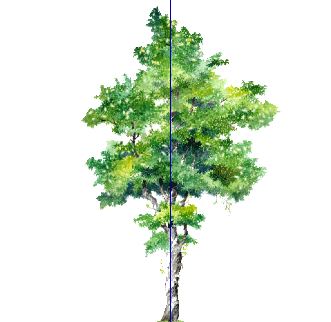 ֲֻSketchUpģ