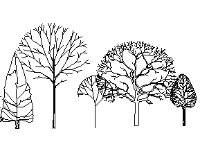 ֲֻSketchUpģ