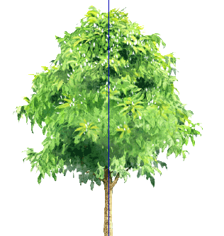 ֲֻSketchUpģ