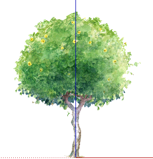 ֲֻSketchUpģ
