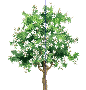 ֲֻSketchUpģ