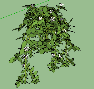 ֲSketchUpģ