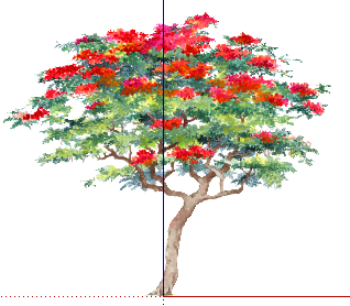 ֲֻSketchUpģ