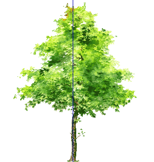 ֲֻSketchUpģ