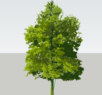 ֲֻSketchUpģ