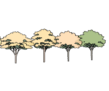 ֲֻSketchUpģ