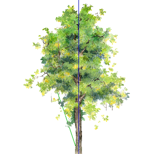 ֲֻSketchUpģ