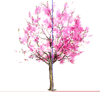 ֲֻSketchUpģ