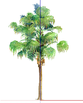 ֲֻSketchUpģ