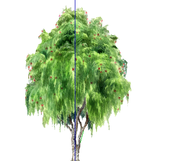 ֲֻSketchUpģ
