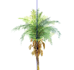 ֲֻSketchUpģ