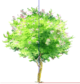 ֲֻSketchUpģ