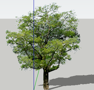 ֲֻSketchUpģ