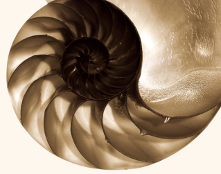 3DMaxģͳñֽ