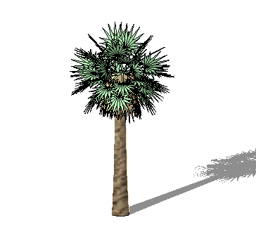 ֲSketchUpģ